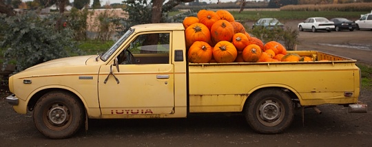 pumpkin truck