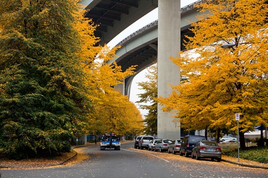 Portland Under Freeways 1